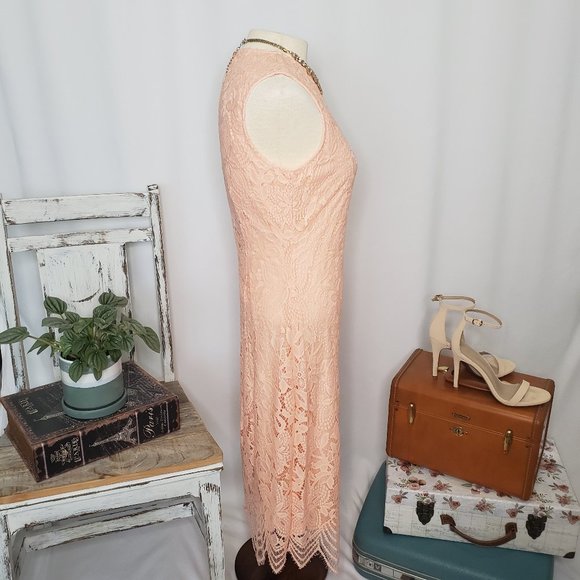 Peach Pink Sharagano Lace Midi Dress - Sz 6 (NWT) - Picture 6 of 15